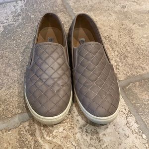 Steve Madden ECENTRCQ gray sneakers